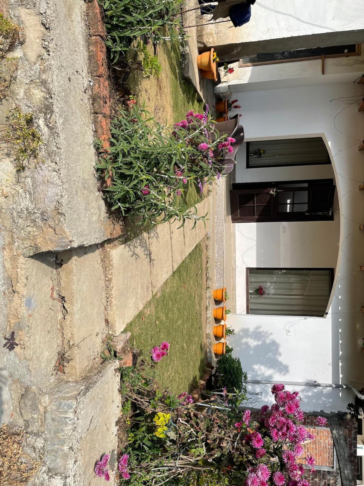 Kafal Tree Home Stay - Pet Friendly Bhowali Exterior foto